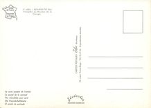 CPM Biarritz Tempete au Rocher de la vierge 