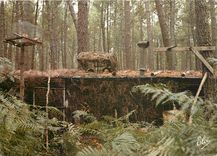 CPM Landes La palombiere en foret 