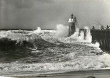 CPM Les Landes de Gascogne Maurice Martin 