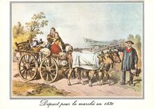 CPM Pays Basque Vieilles Gravures Depart pour le marche avec l'attelage de boeufs en 1830 