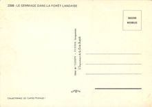 CPM Le Gemmage dans la Foret Landaise 