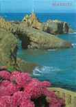 CPM Biarritz Rocher de la Vierge 