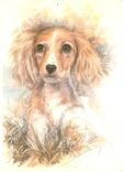 CPM Chien
