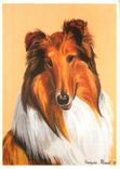 CPM La Passion des animaux Dessin F Picavet Fouquart Chien