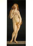 CPM Sandro Botticelli 1444 45 1510 Werkstatt Venus 
