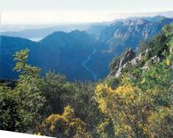 CPM Les Gorges du Verdon Alpe de Haute de Provence Var 