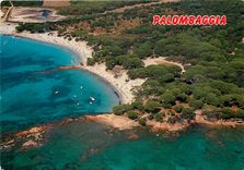 CPM Corse Ile de Beaute Souvenir de Palombaggia La plage et la pinede 