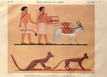 CPM Musee Champollion Figeac Lot Monument de l'Egypte et de la Nubie 