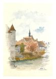 CPM Chablis Yonne Le Tamaris sous Saint Martin 