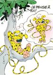 CPM Marsupilami Marsu Dessin Batem 