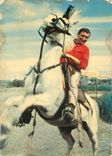 CPM Au Soleil de la Camargue Dressage d'un cheval Camarguais 
