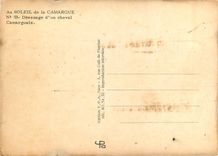 CPM Au Soleil de la Camargue Dressage d'un cheval Camarguais 