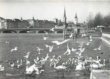 CPM Zurich 