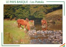 CPM Le Pays Basque Les Pottoks 