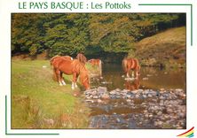CPM Le Pays Basque Les Pottoks 