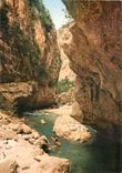 CPM Les Gorges du Verdon Var Alpes de Haute Provence 