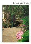 CPM Bormes les Mimosas Var 