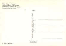 CPM Cote d'Azur France Bormes les Mimosas