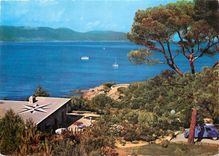 CPM Environs du Lavandou Bormes les Mimosas Var 