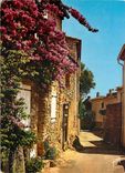 CPM Bormes Les Mimosas AM Vieilles maisons fleuries de Bougainvillees 