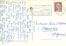 CPM Gourdon Culture de la Lavande 