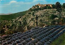CPM Gourdon Alpes Maritimes Village pittoresque perche a 760 m 