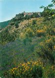 CPM Gourdon Alpes Maritimes 