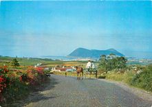 CPM Ilha Terceira Acores Vue de Monte Brazil prise du Pico Redondo 