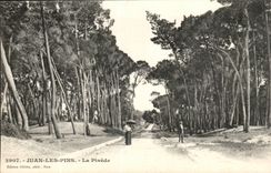 Juan-The-pines Pine forest CPA