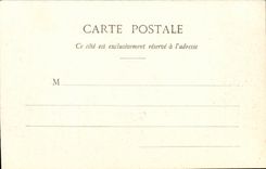 Juan-The-pines Pine forest CPA