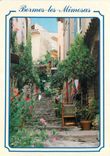 CPM French Riviera Bormes les Mimosas Var 