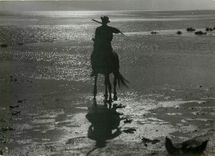 CPM Crepuscule sur le Vaccares 