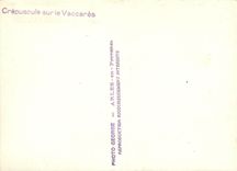 CPM Crepuscule sur le Vaccares 