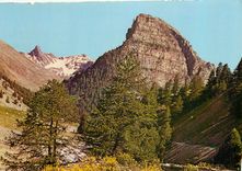 CPA Alpes de Hte Provence La Tour des Sagnes 
