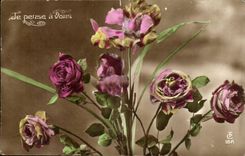 Ich denke muss Sie weg von Ihnen Rose denkend - CPA