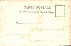 Aloe in flowers Aloe Vera in bloom CPA