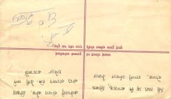 Entier Postal Postal Stationary Nepal Fleurs