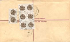 Entier Postal Postal Stationary Nepal Fleurs 