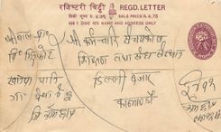 Entier Postal Postal Stationary Nepal Fleurs 