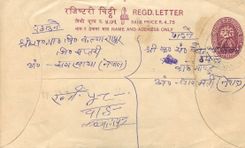 Entier Postal Postal Stationary Nepal Fleurs 