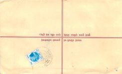 Entier Postal Postal Stationary Nepal Fleurs 