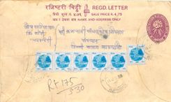 Entier Postal Postal Stationary Nepal Fleurs 