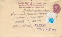 Entier Postal Postal Stationary Nepal Fleurs 