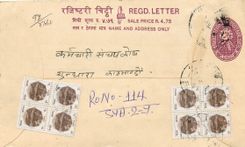 Entier Postal Postal Stationary Nepal Fleurs 