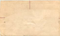 Entier Postal Postal Stationary Nepal Fleurs