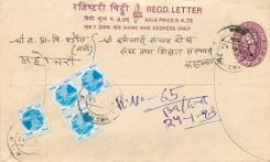 Entier Postal Postal Stationary Nepal Fleurs 