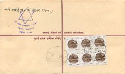 Entier Postal Postal Stationary Nepal Fleurs