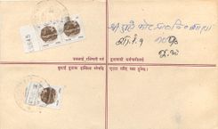 Entier Postal Postal Stationary Nepal Fleurs