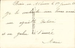 CPA Fantasy Woman Happy New Year Horseshoe