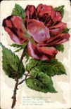 CPA Fantasy Flower Rose